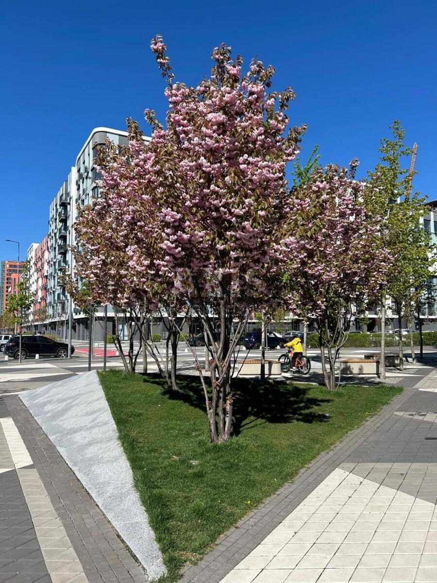 1k apartment pr-t Glushkova Akademika 9Д