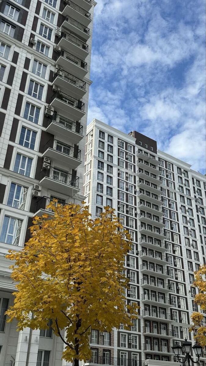 2к квартира ул. Михаила Максимовича 246074518