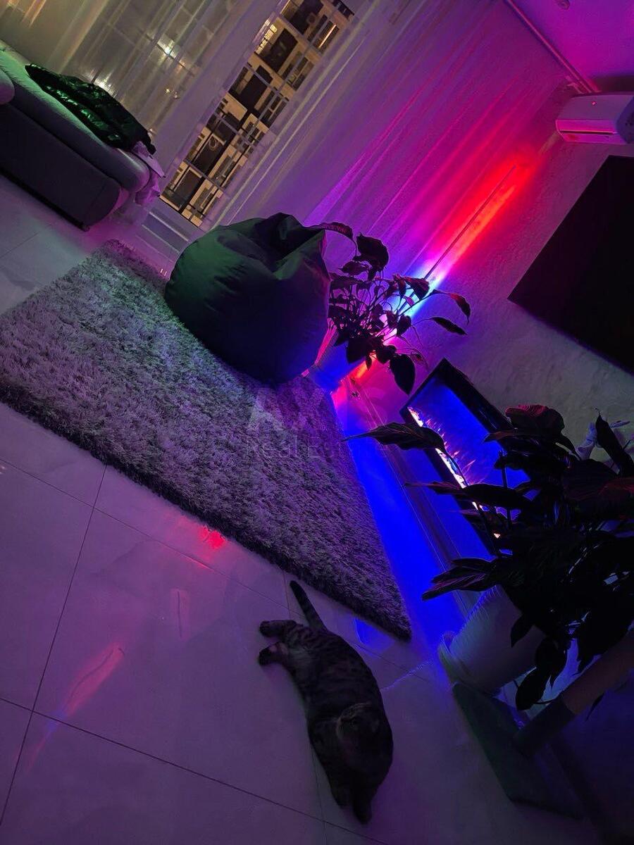 2k apartment vul. Myhajla Maksymovycha 249