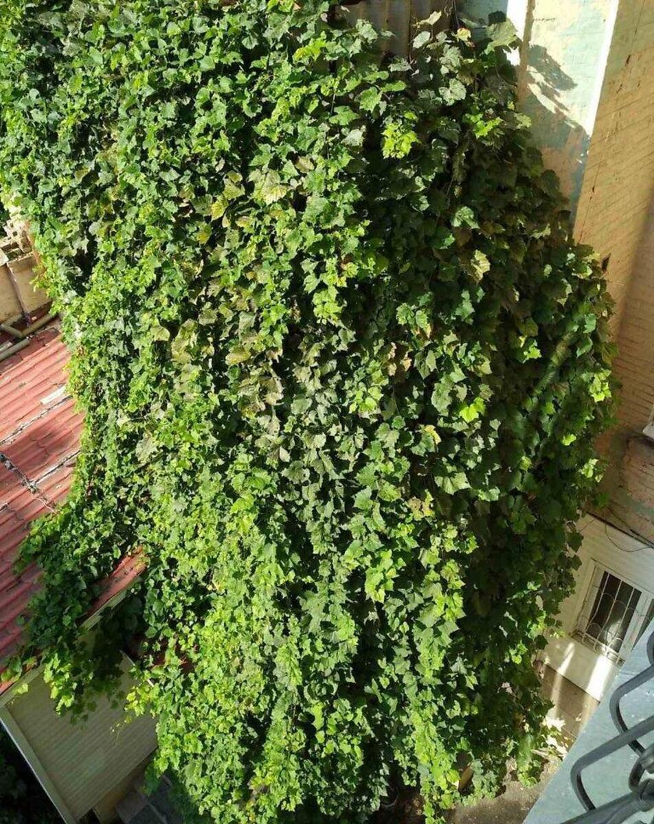 1к квартира ул. Скоропадского Павла 17Б628137