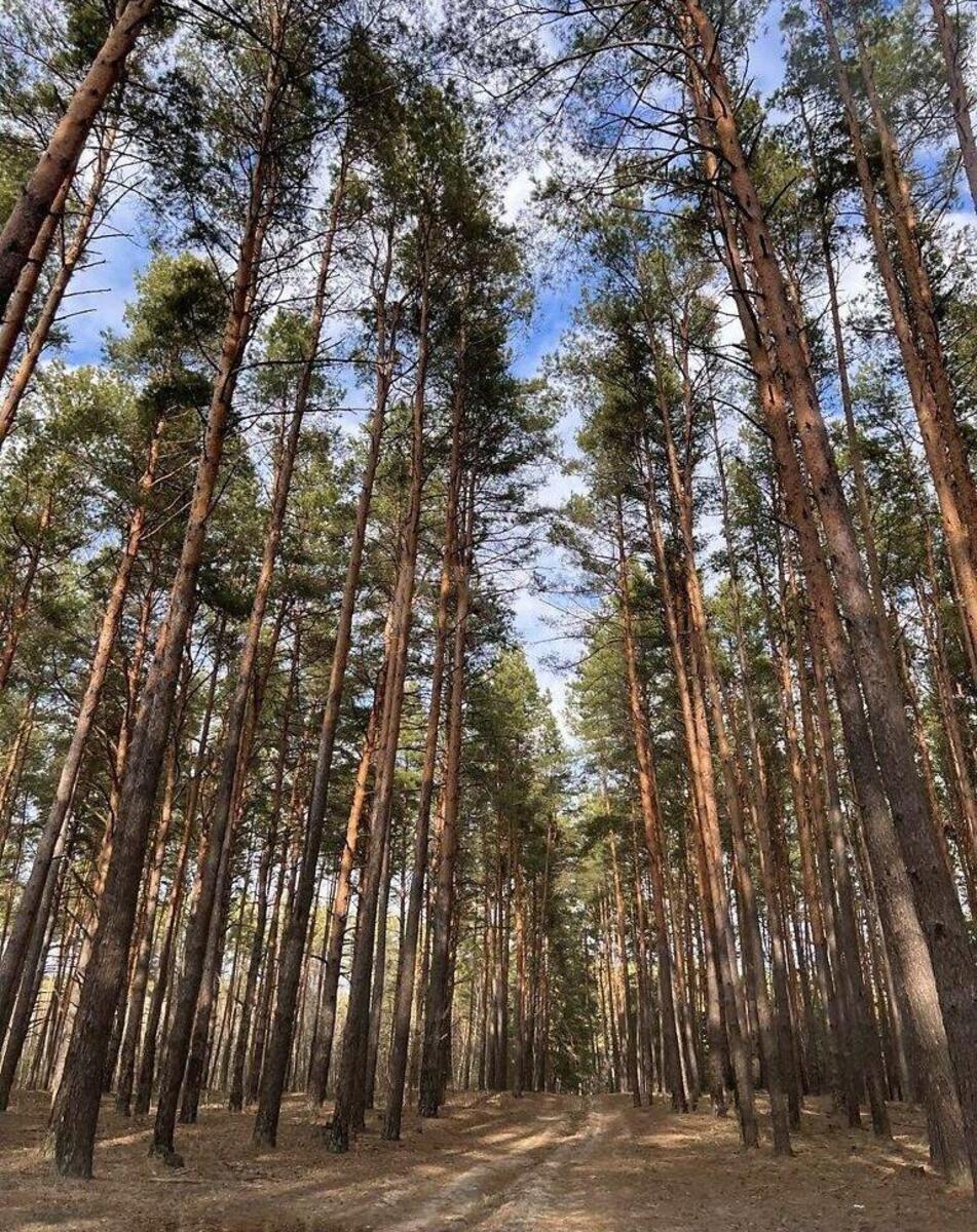2к квартира ул. Радистов 34Н5742513