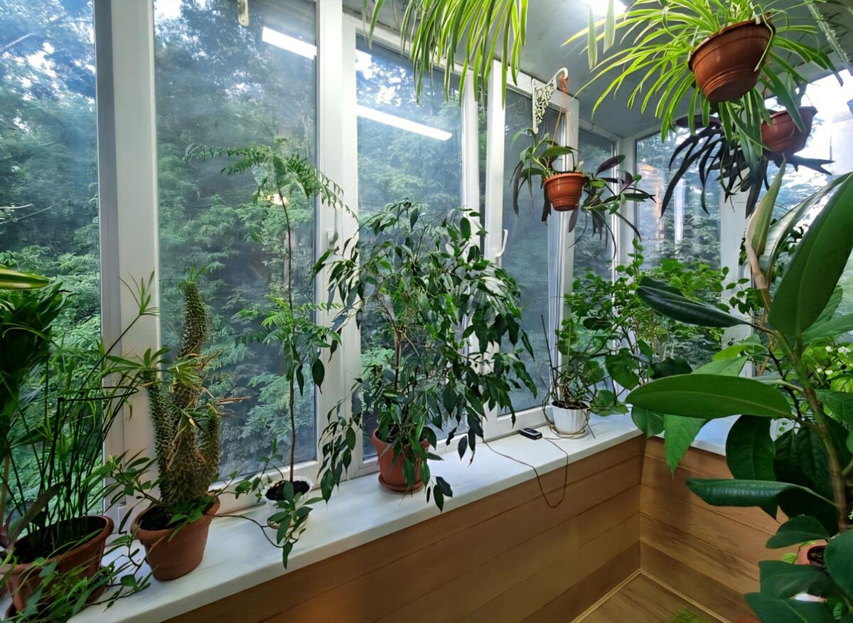 3k apartment vul. Kikvidze 23600684