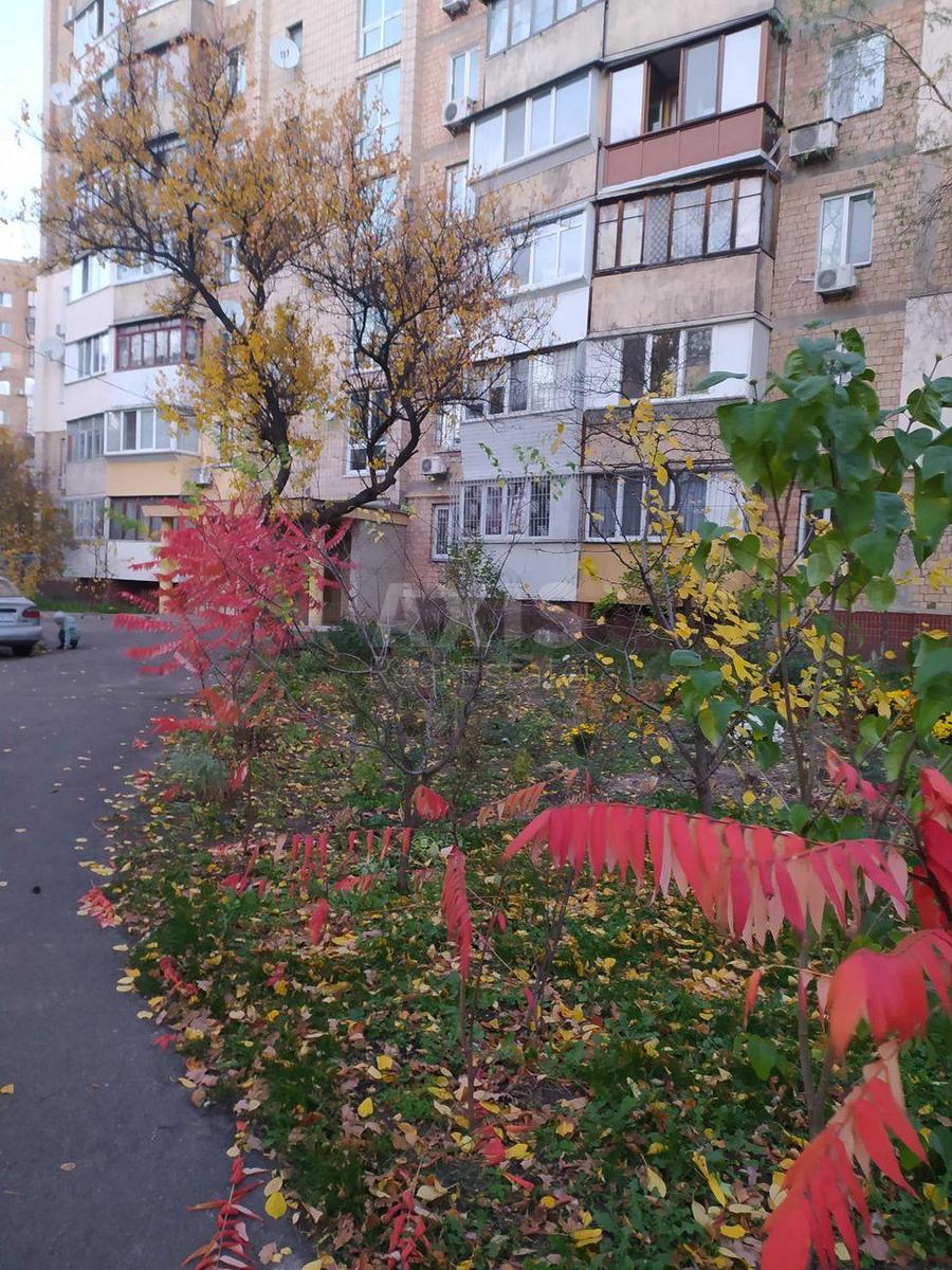 1к квартира ул. Котельникова Михаила 51А7