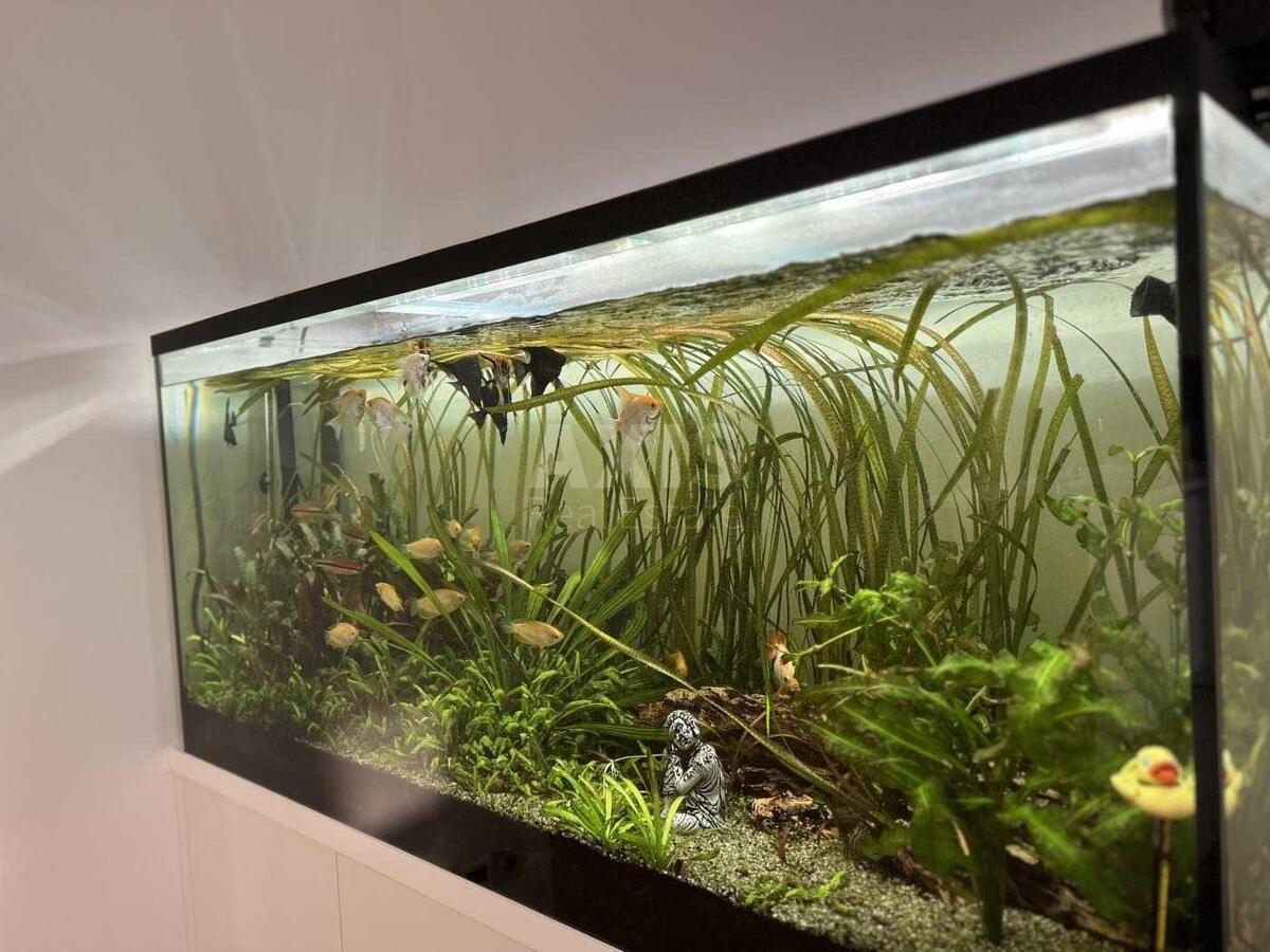 3к квартира ул. Жилянская 118628894