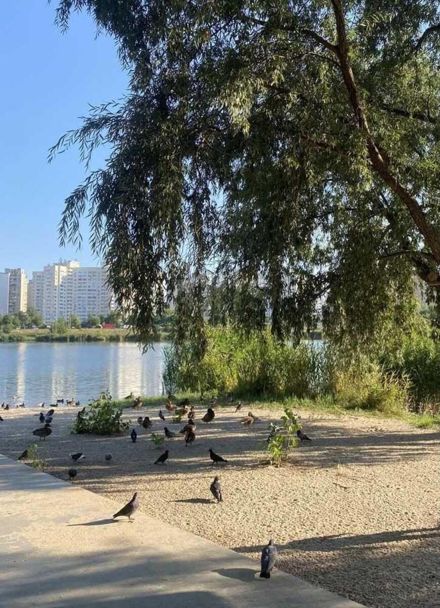 3k apartment vul. Dragomanova 316279610