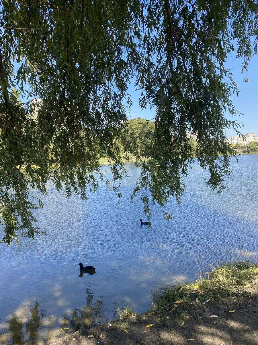 3k apartment vul. Kybal'chycha Mykoly 2615645