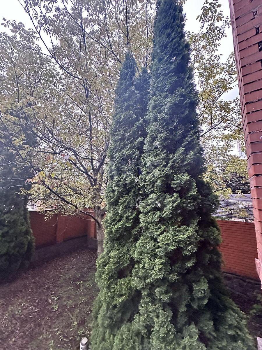 Trade object vul. Piddubnogo Ivana 20/27, 442m2611503