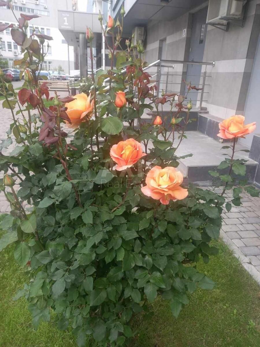 2k apartment vul. Patriarha Mstyslava Skrypnyka 48А5654216