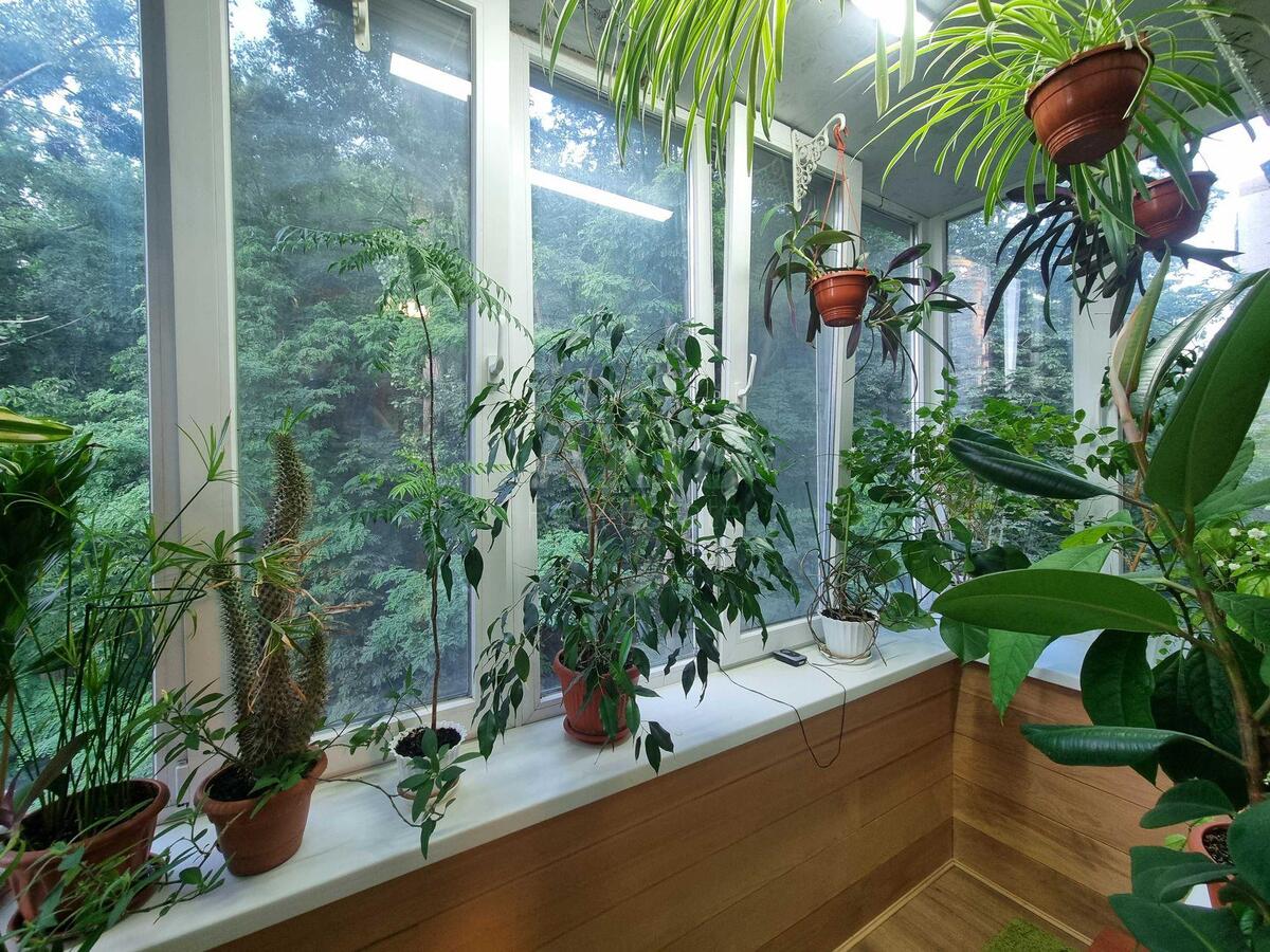 3k apartment vul. Kikvidze 235665011