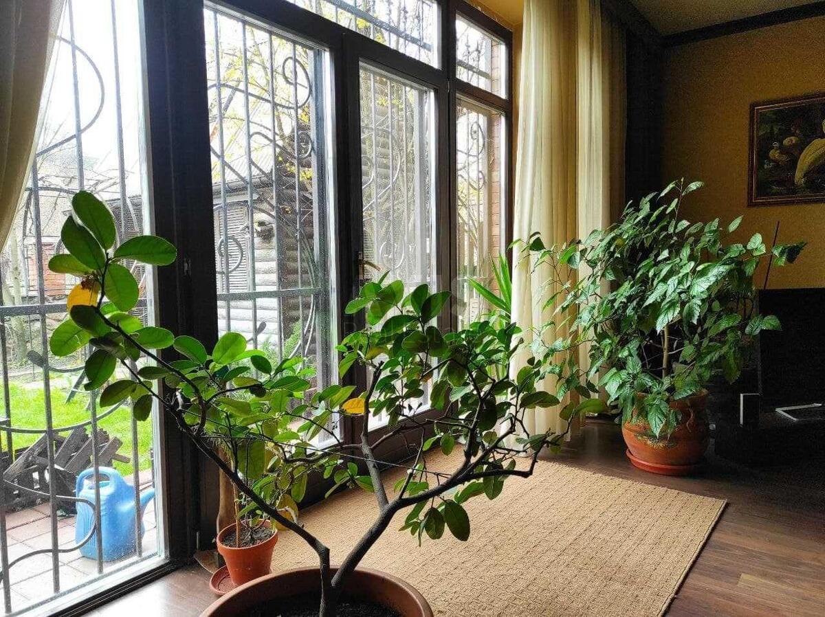 House vul. Kvitky-Osnov'janenka, 270m2, Kyiv city467216