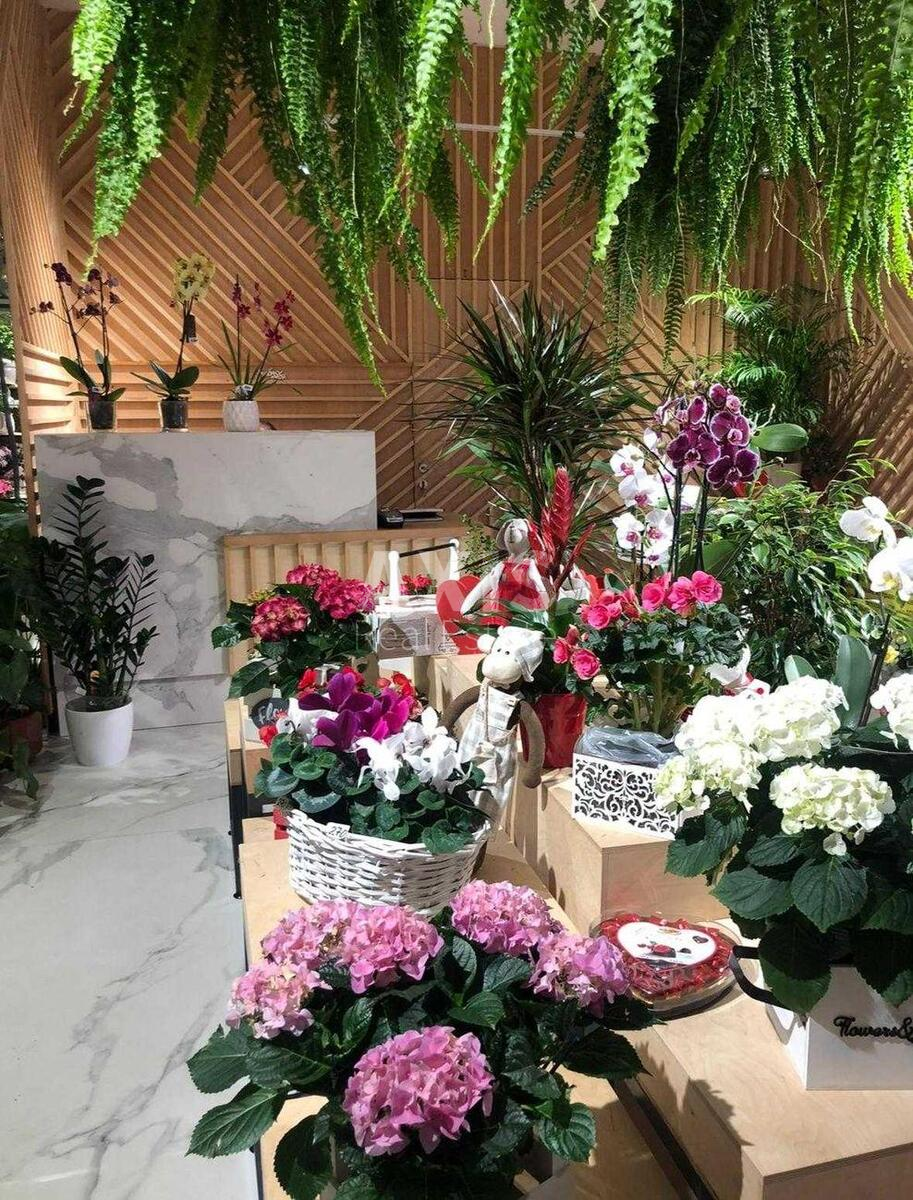Объект торговли ул. Драгоманова 2А, 53м2534625