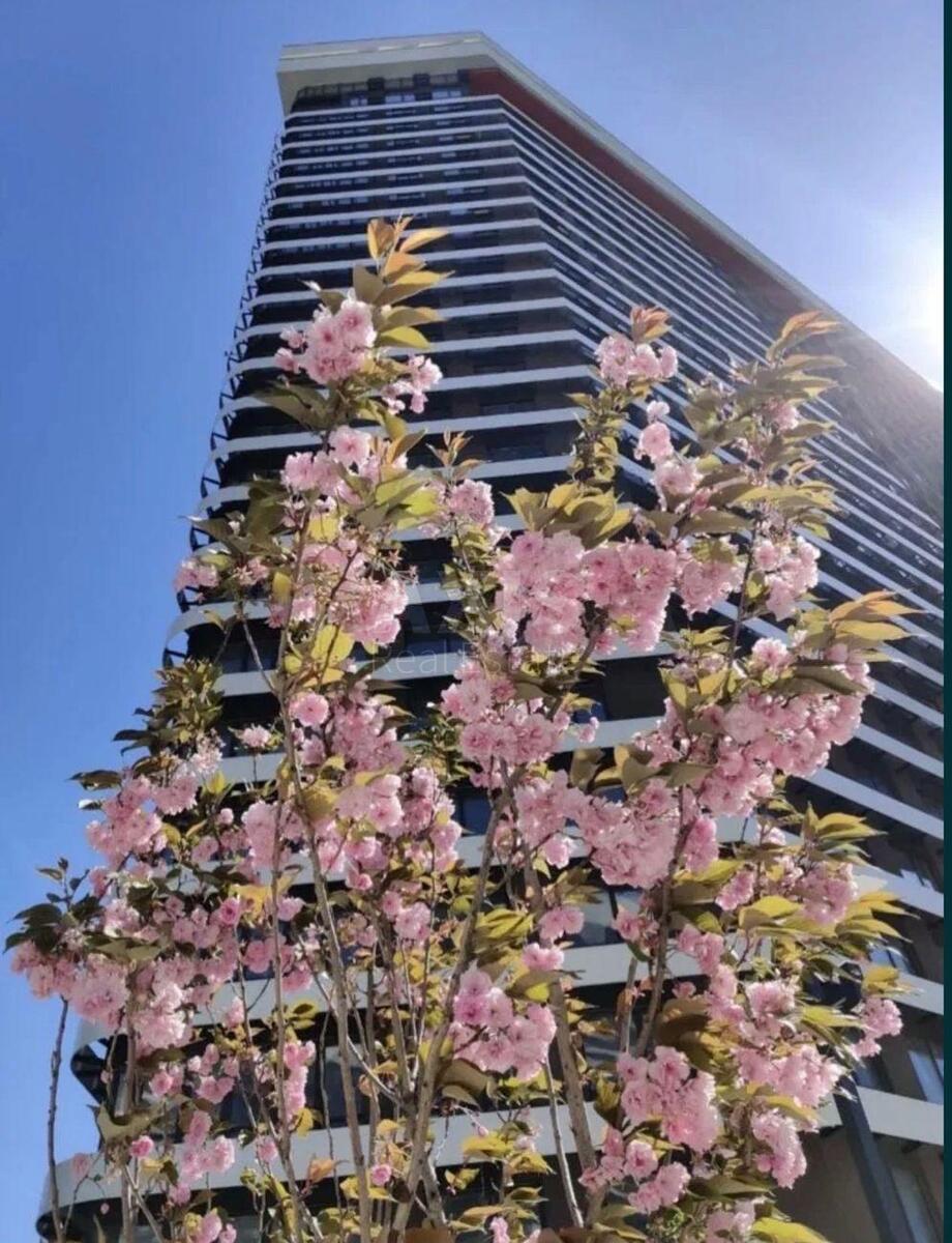 2k apartment vul. Dragomanova 2А