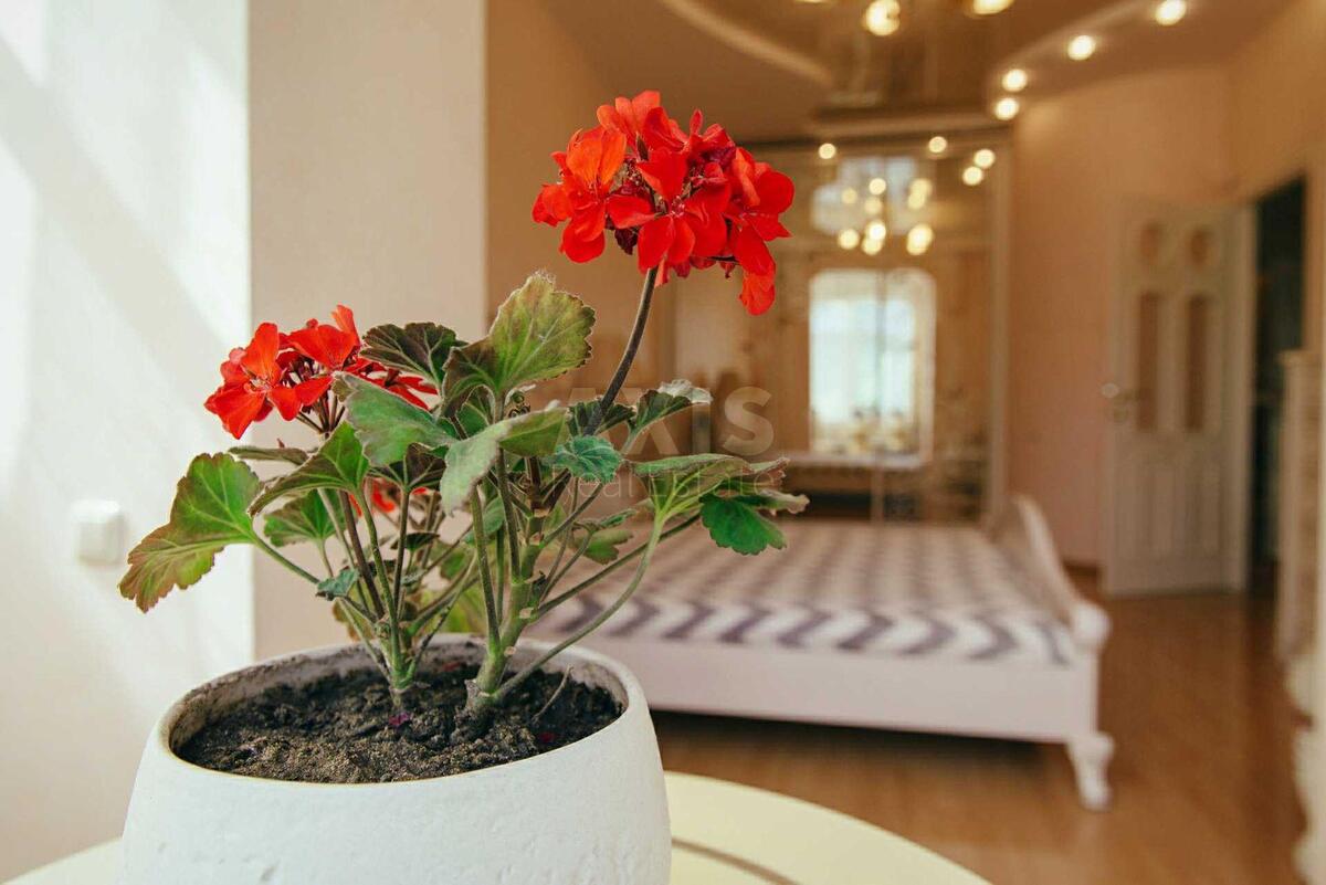 3k apartment vul. Mazepy Ivana 36135513