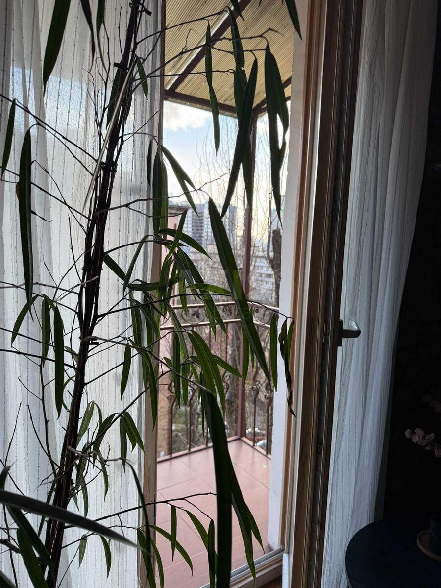 2k apartment vul. Doroshenka Petra 47587698