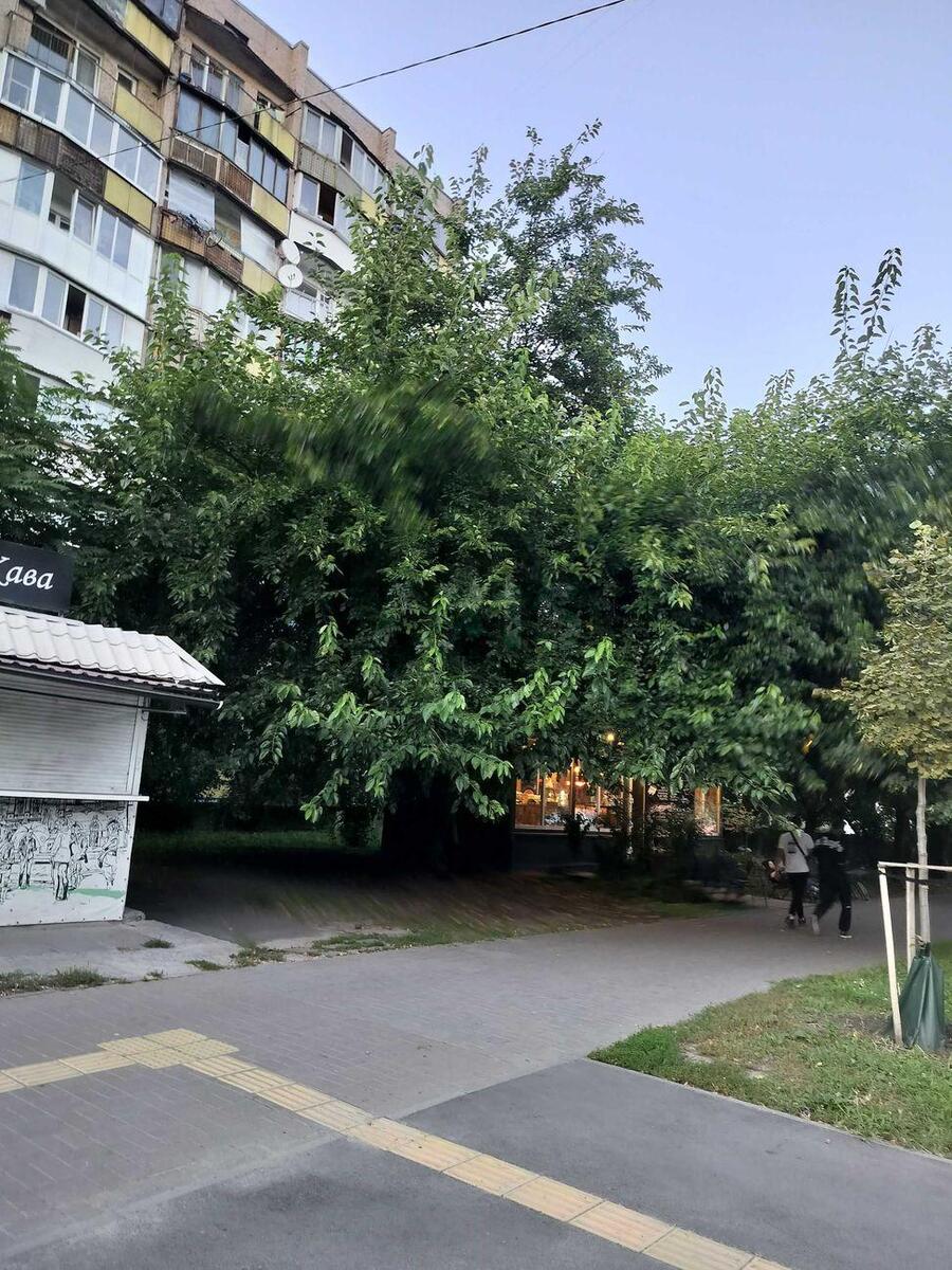 1к квартира ул. Мостицкая 66302110