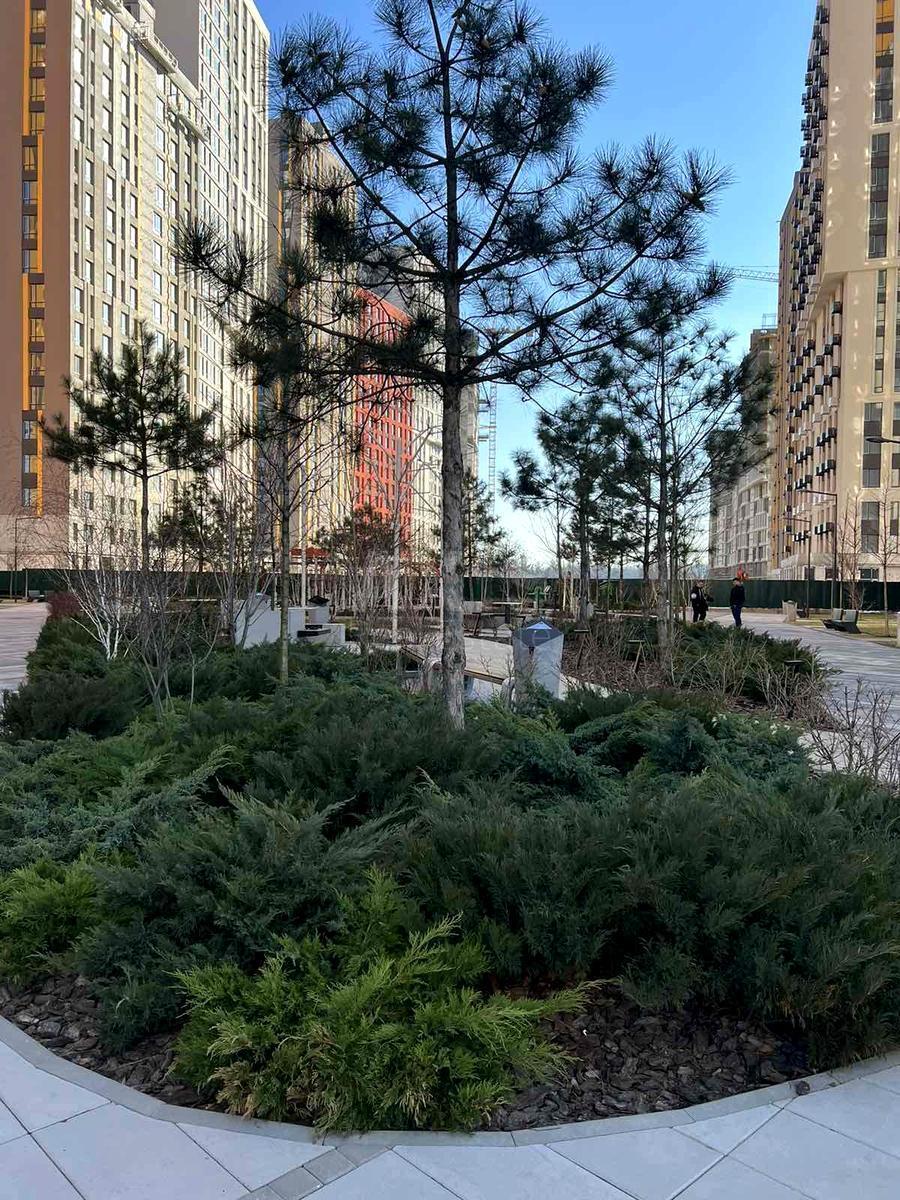 1k apartment shose Naddniprjans'ke 2А613994