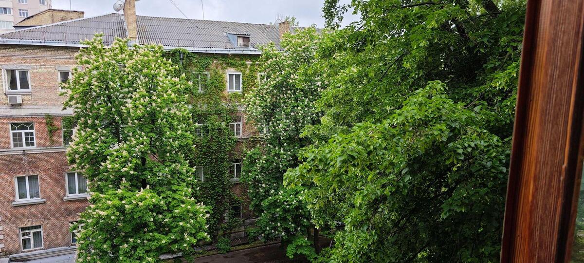 1к квартира ул. Алексы Тихого 86337013