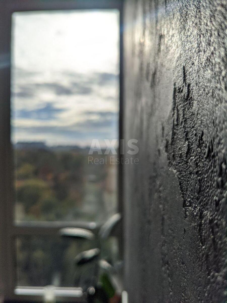 1k apartment vul. Radchenka Petra 12579846
