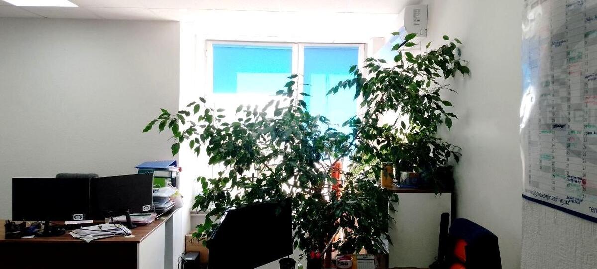 Office vul. Strutyns'kogo Sergija 8, 222m2603154