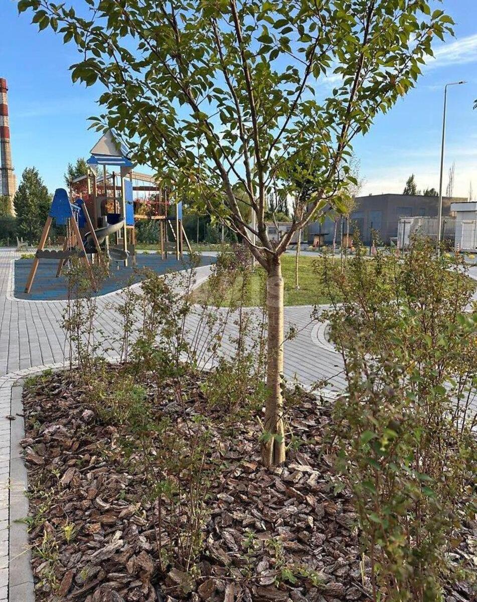 3k apartment vul. Kanal'na 8590377