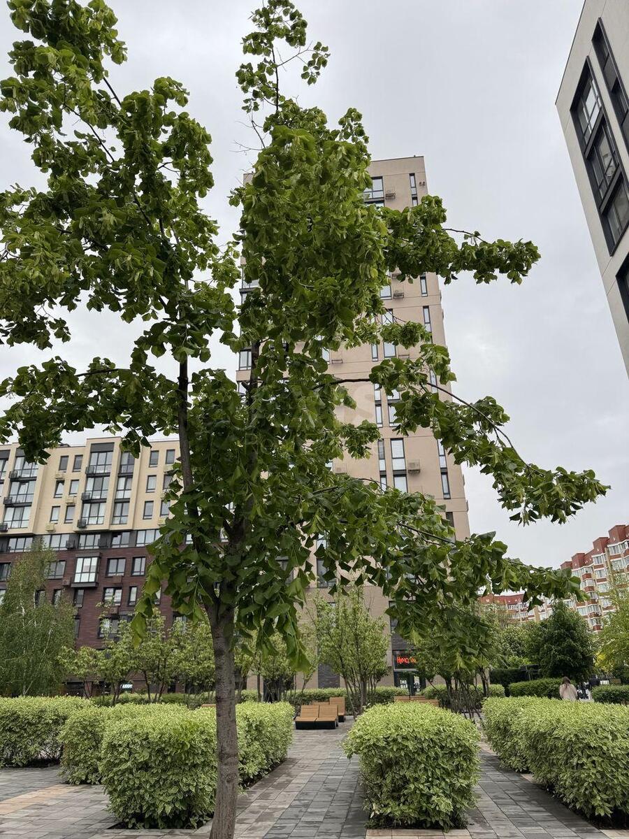 1k apartment vul. Saljutna 2Б6056011