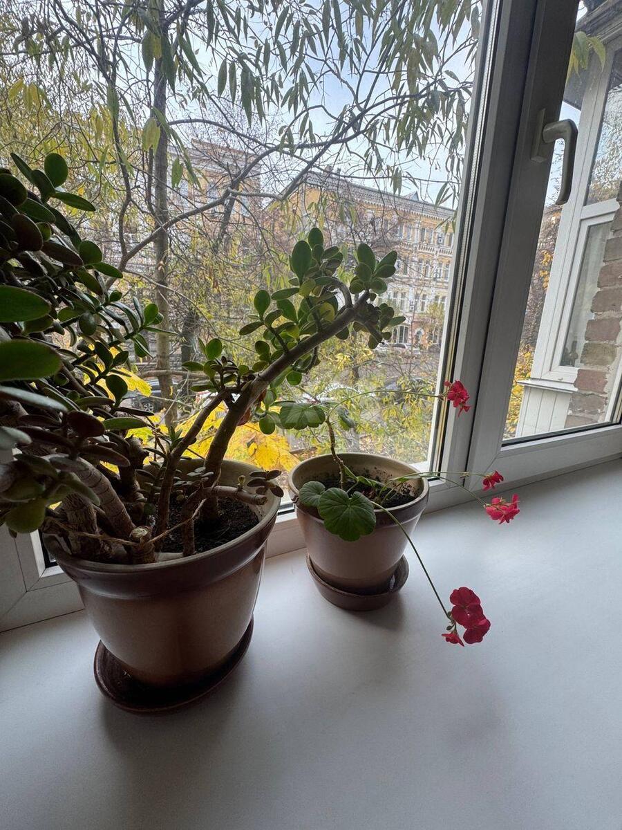 2k apartment vul. Tarasivs'ka 3610853