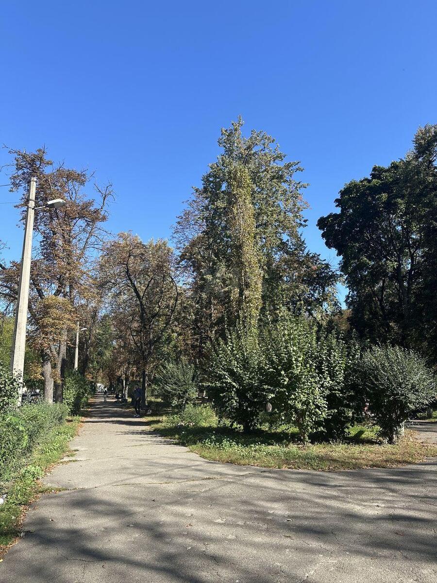 1к квартира ул. Сечевых Стрельцов 52А5953917