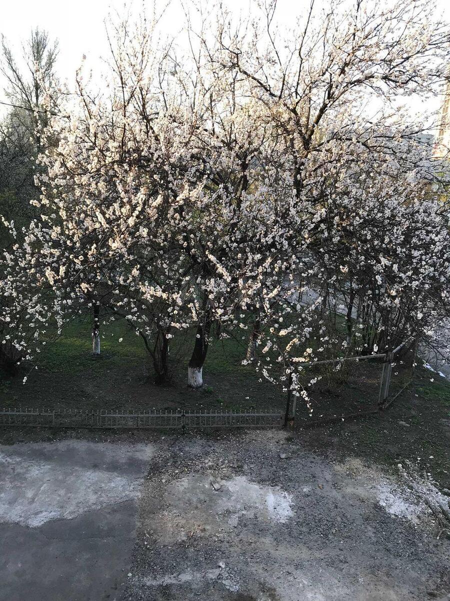 2k apartment vul. Kustanajs'ka 8/15824515