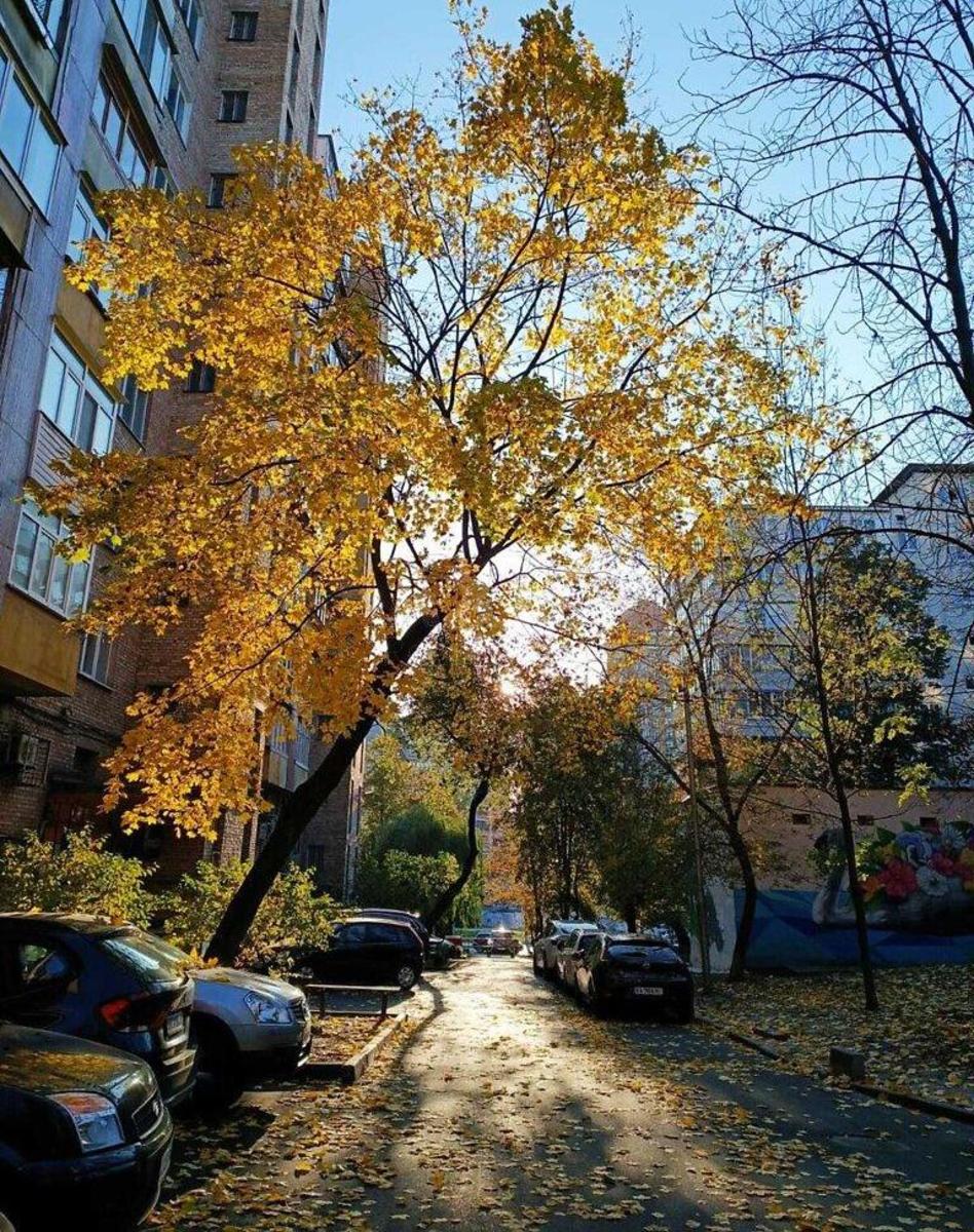 2к квартира ул. Кутузова 146
