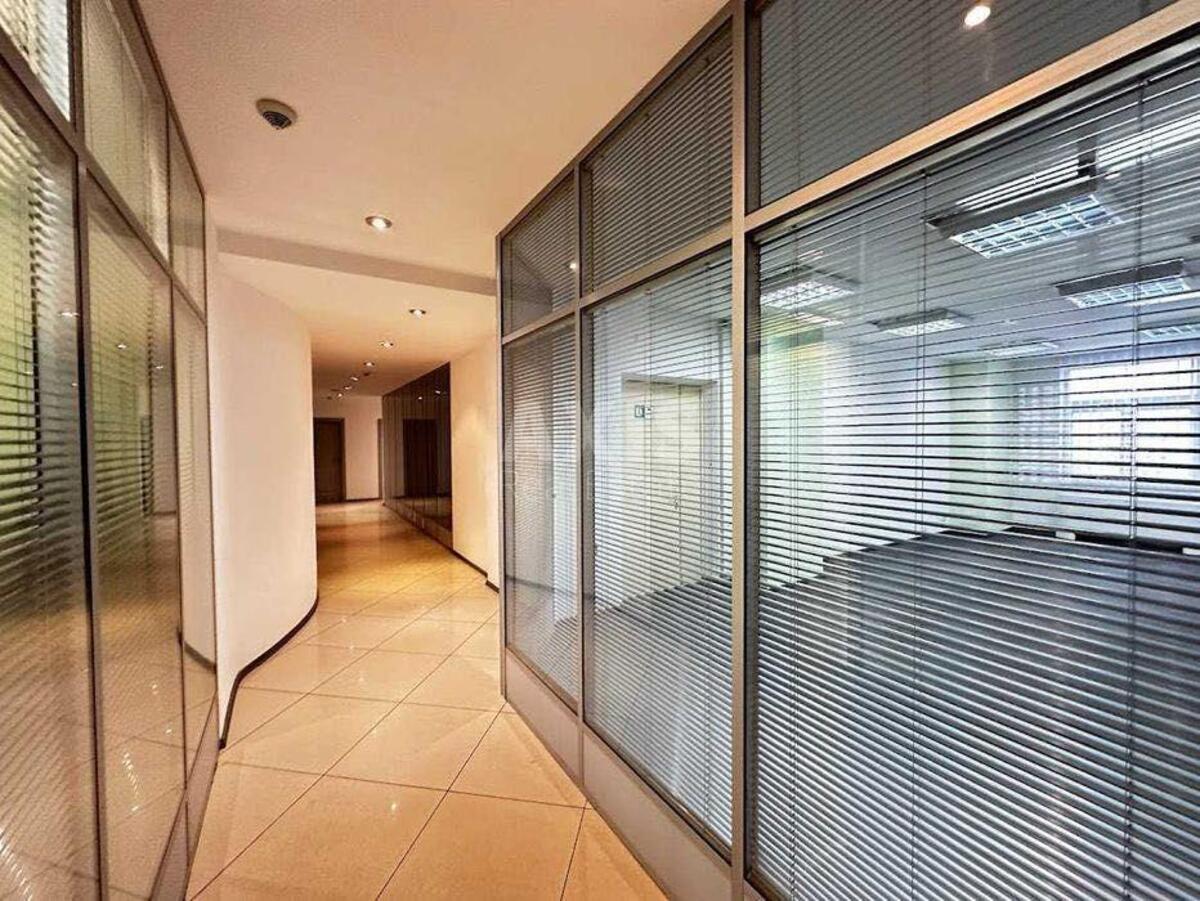 Office vul. Zhyljans'ka 59, 812m2