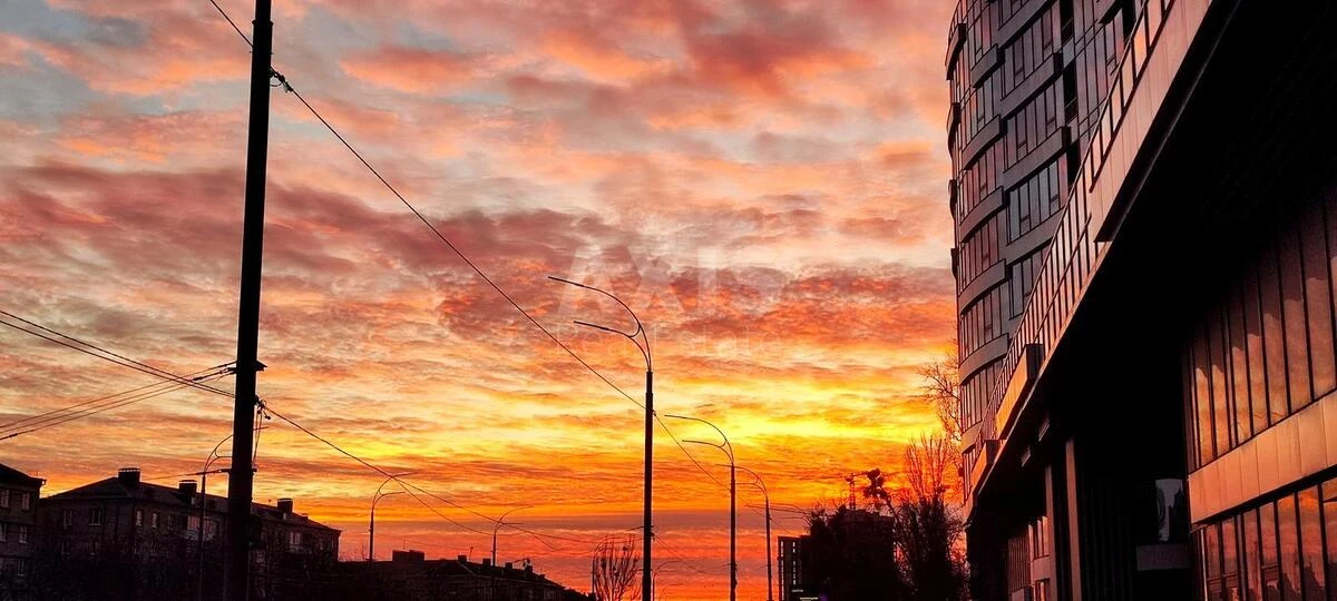 3к квартира бул. Николая Михновского 13А664538