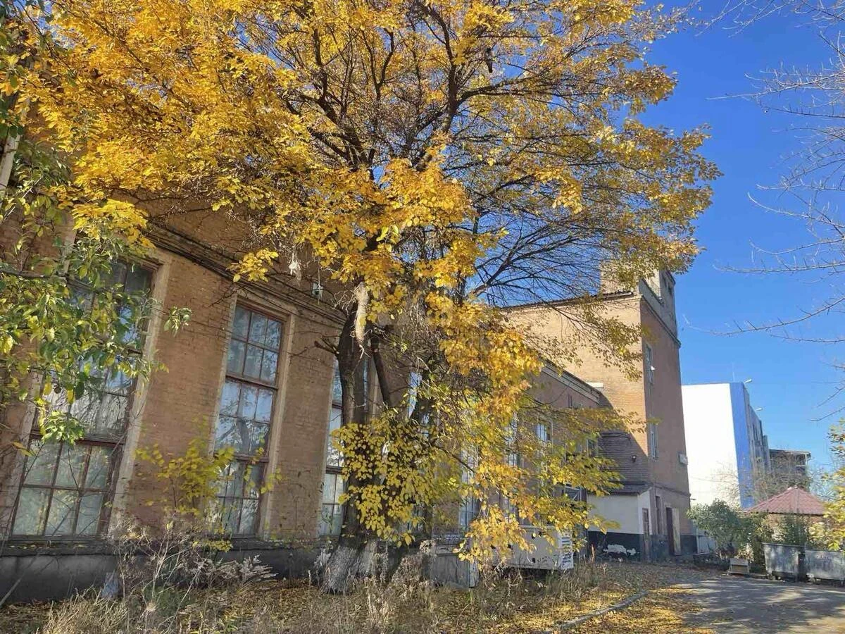 Service object vul. Viskozna 8, 4000m257439