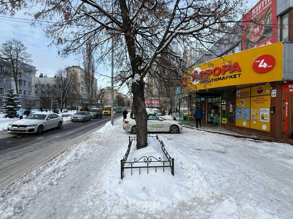 Trade object prov. Politehnichnyj 1/3, 500m2651241