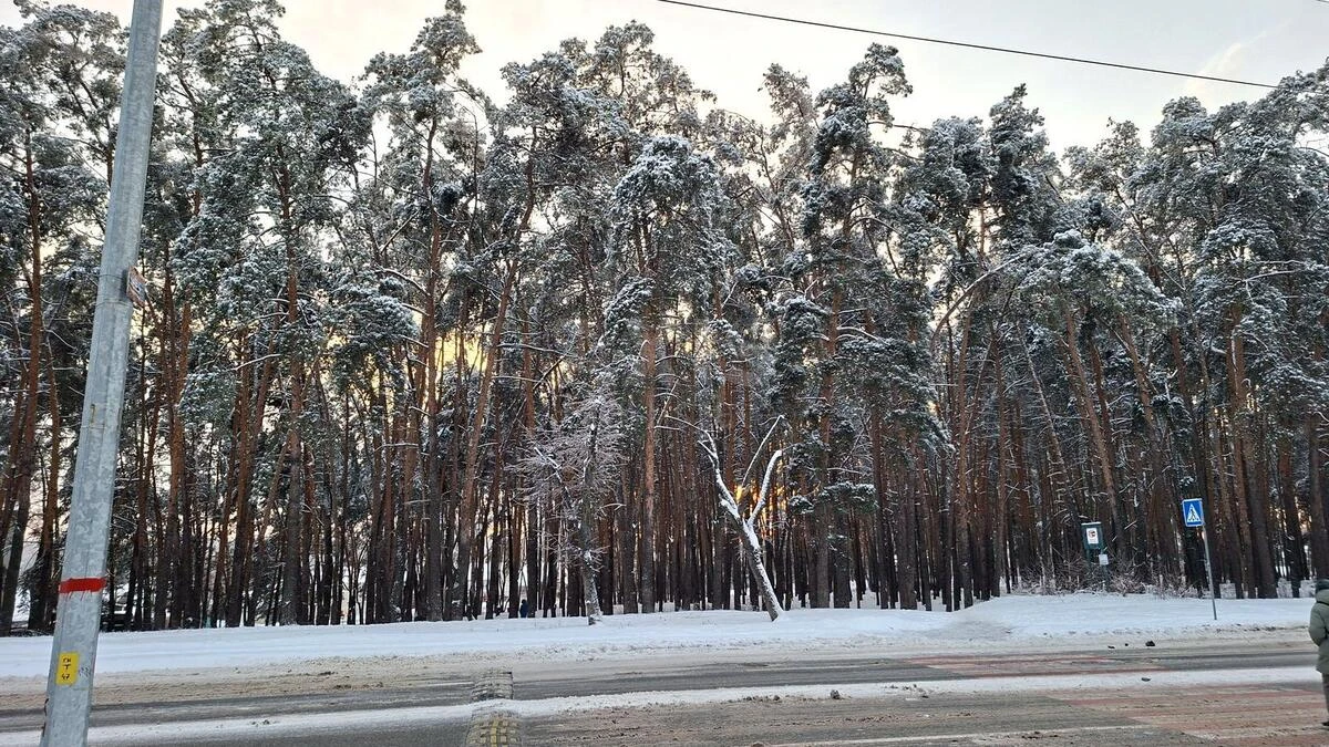 3k apartment vul. Bulahovs'kogo Akademika 42/436391921