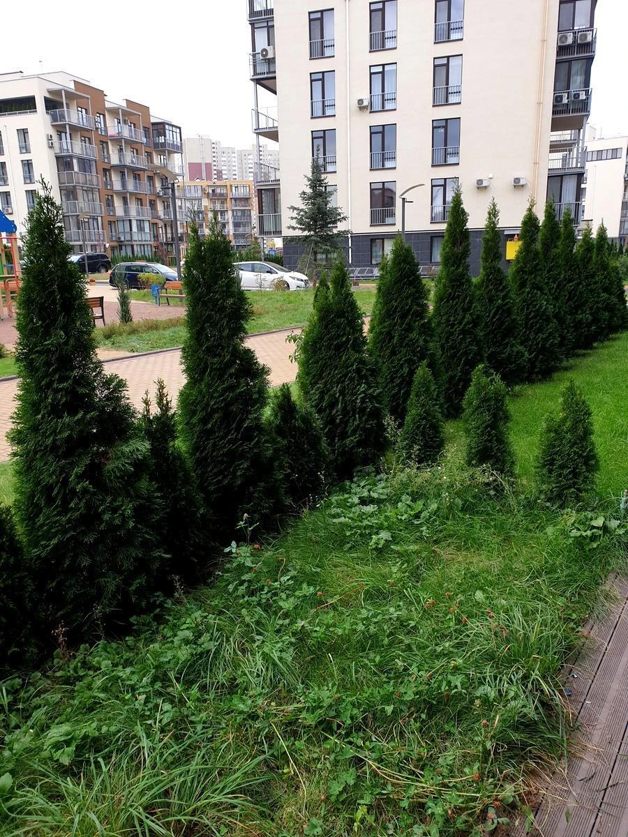 1к квартира ул. Замковецкая 946580213