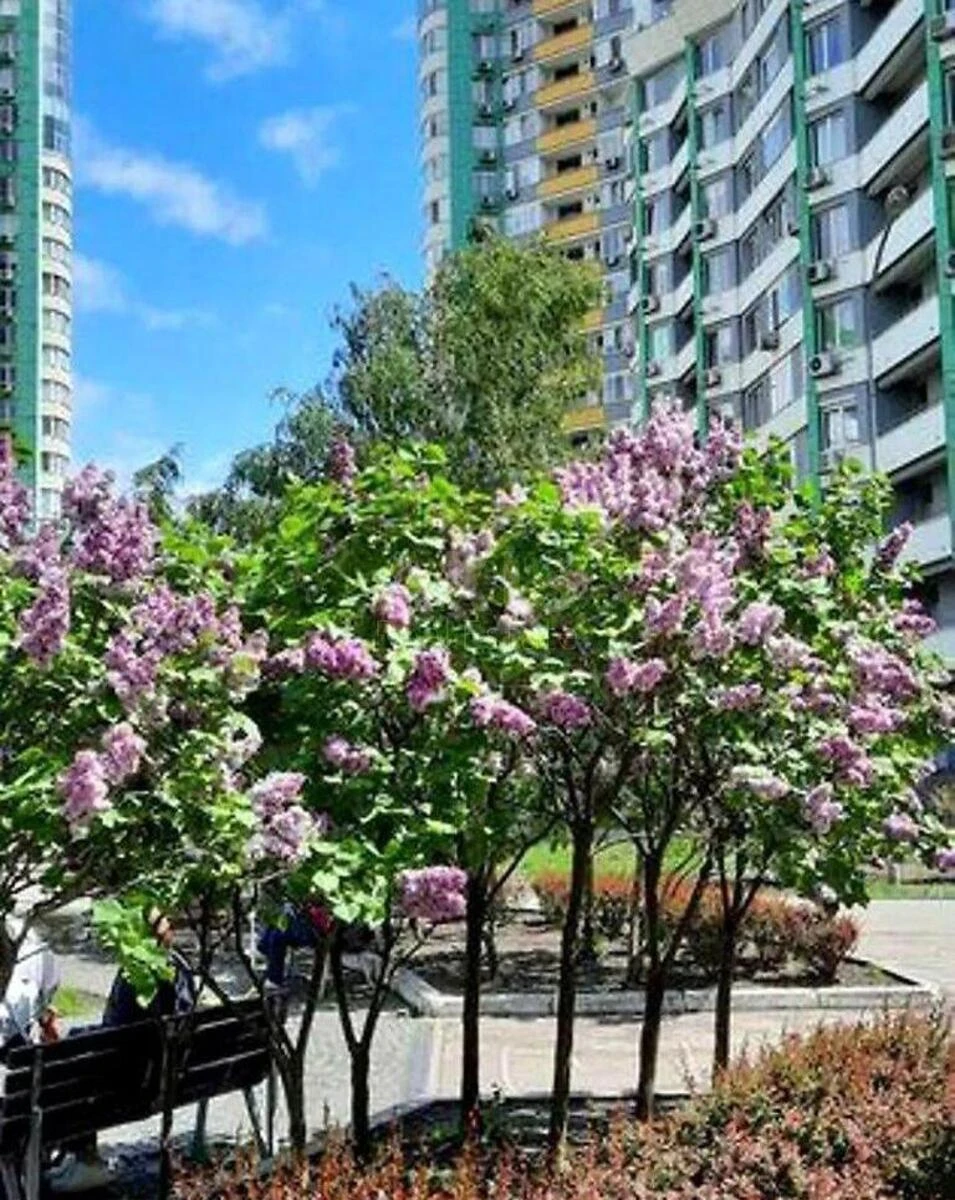 2k apartment vul. Vyshgorods'ka 457083315