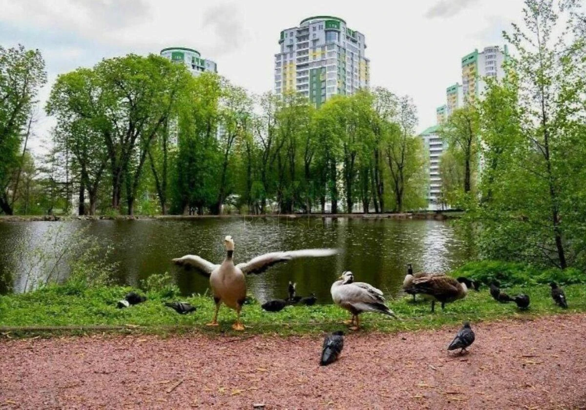 2к квартира ул. Вышгородская 457083319