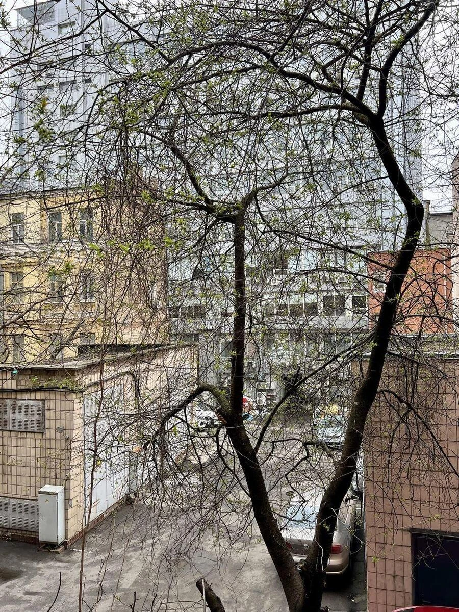 Office vul. Velyka Vasyl'kivs'ka 17Б, 55m2672227