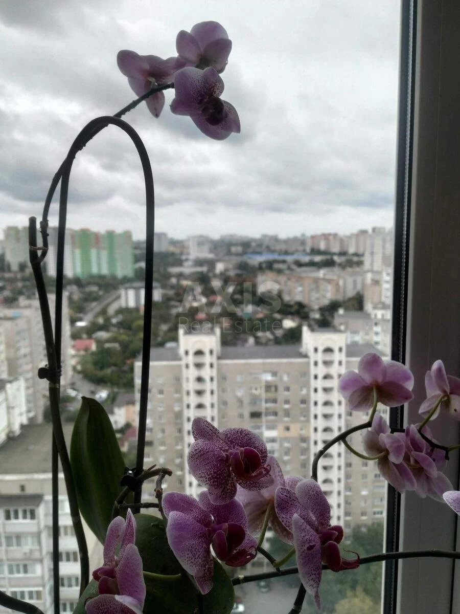 1k apartment vul. Pol'ova 736503710