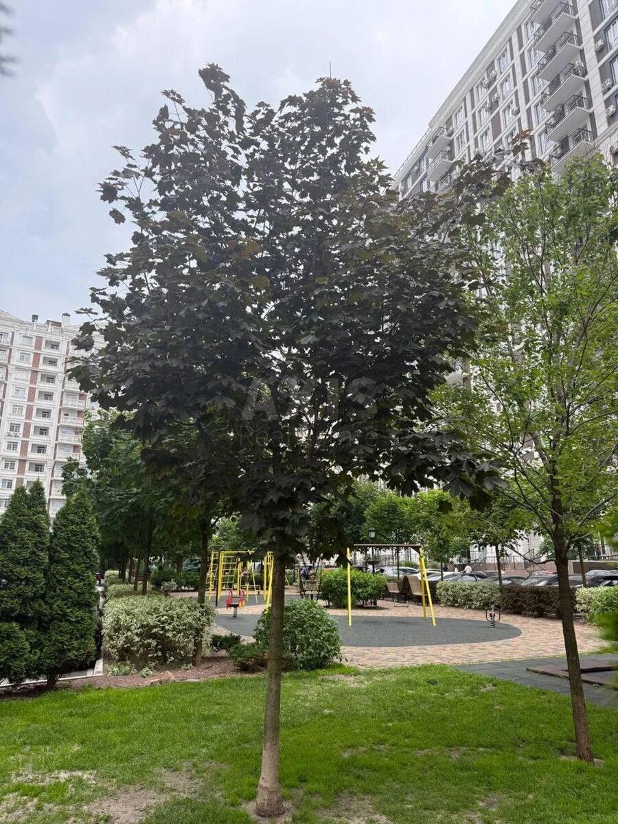 2k apartment vul. Myhajla Maksymovycha 26Г6904022