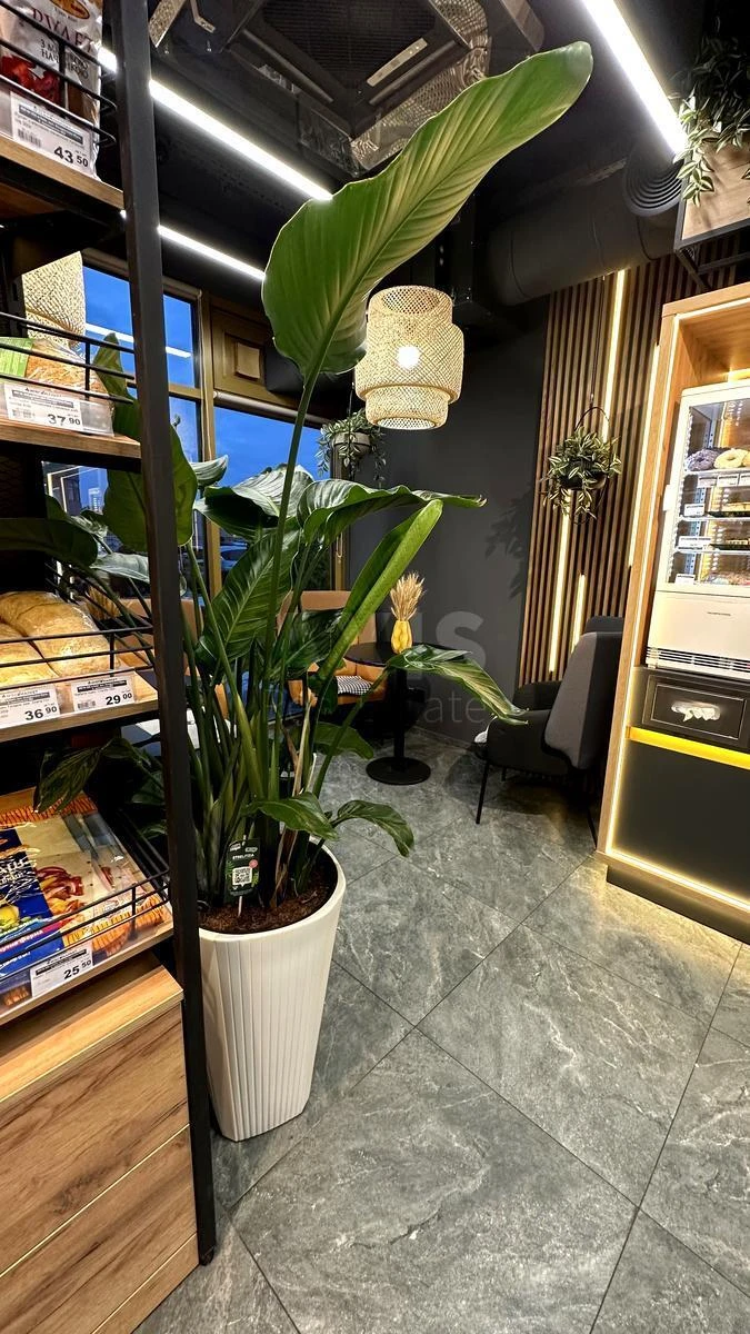 Объект торговли ул. Кондратюка Юрия 3, 115м2632045