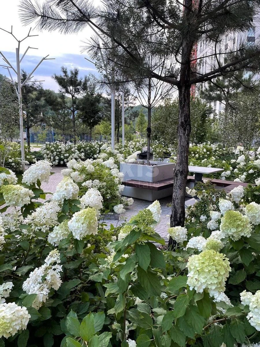 1k apartment shose Stolychne 1Б6638716