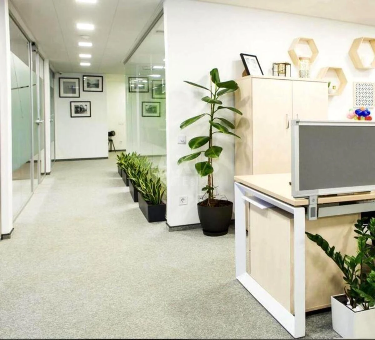 Office pl. Sportyvna 3В, 860m2665012