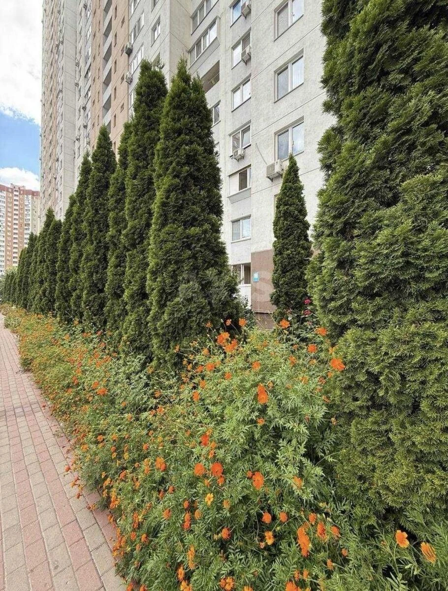 3k apartment vul. Urlivs'ka 38709223