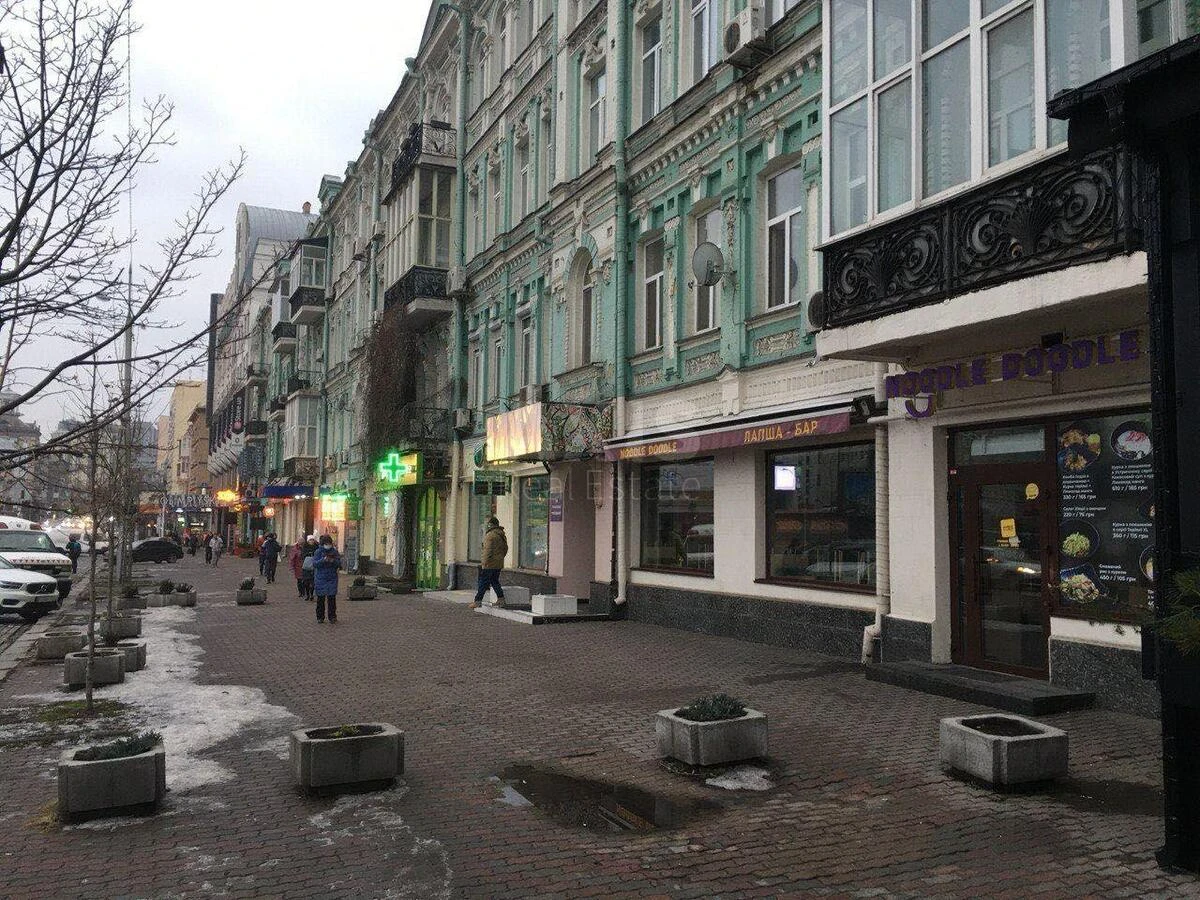 Trade object vul. Velyka Vasyl'kivs'ka 66, 210m2647872