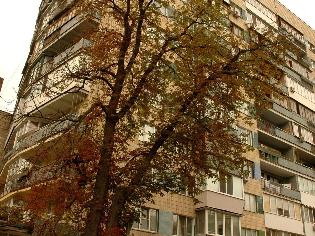 3k apartment prov. Vynogradnyj 1/116884017