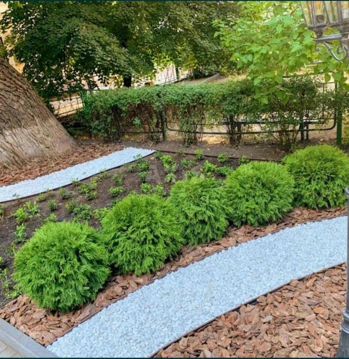 Office vul. Zhyljans'ka 12, 1320m2667961