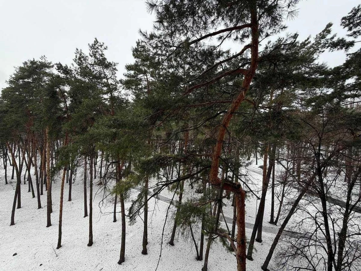 1к квартира ул. Петрицкого Анатолия 176564012