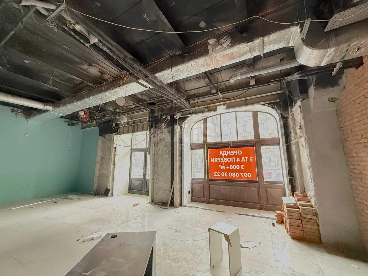 Service object vul. Basejna 2А, 230m2651676