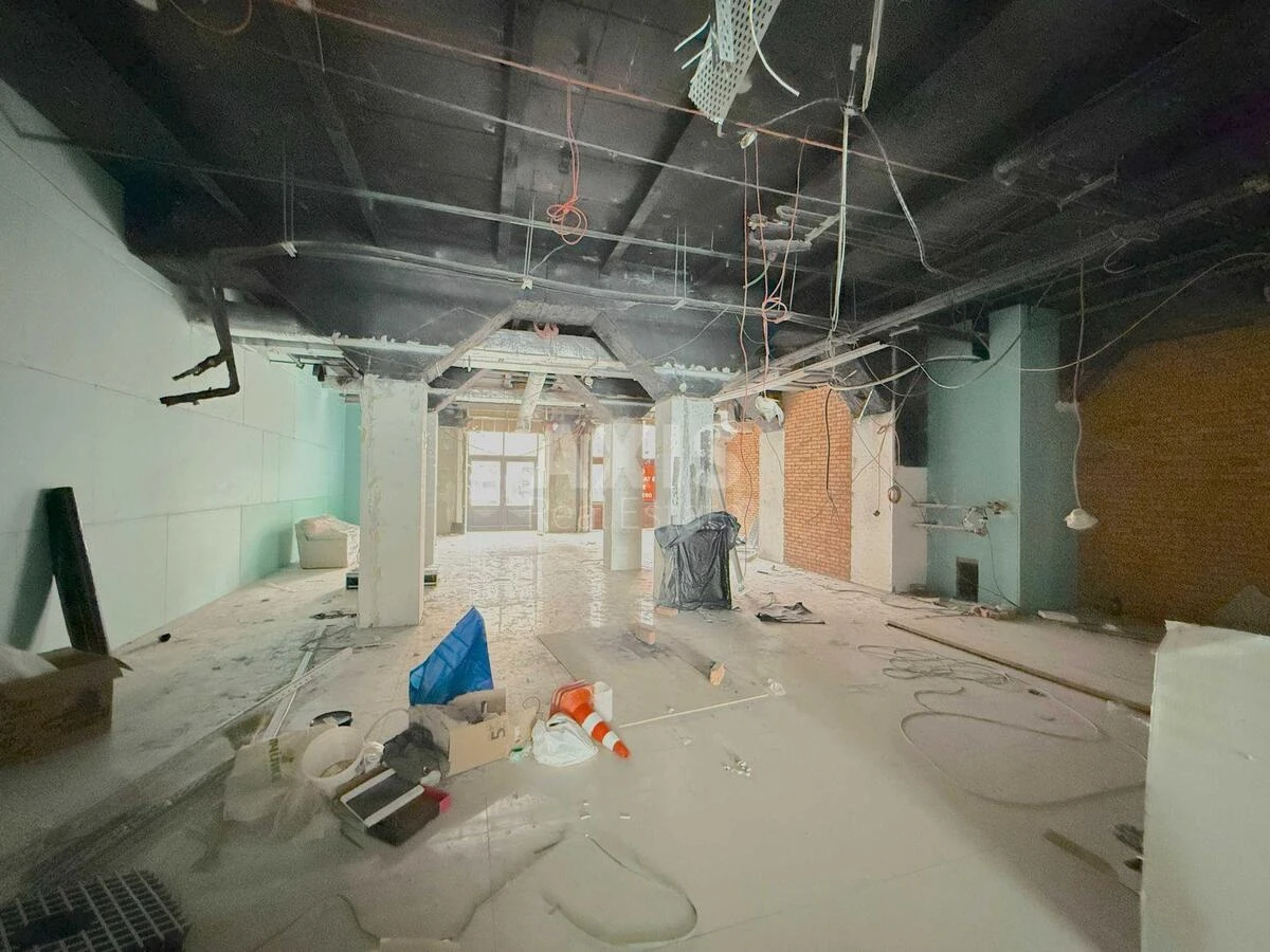 Service object vul. Basejna 2А, 230m2651679